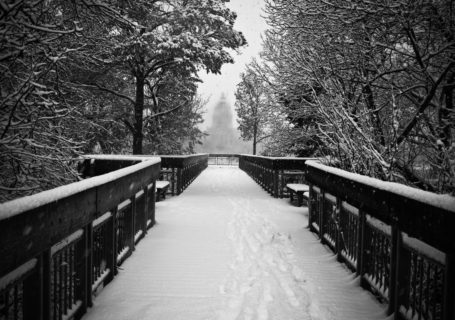 Snow covers Trafalgar Lookout on Wascana Lake Regina, with Legislative building in background - Photo by David Innes